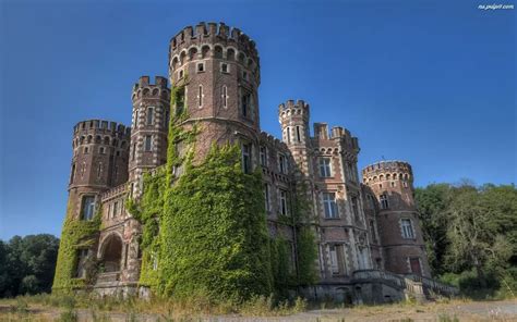 Le Chateau de la Forêt : Une Métaphore Romantique du Monde Intérieur ?